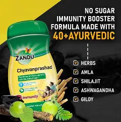 Zandu Chyavanprash Avealeha (450g)