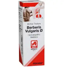 Berberis Vulgaris (20ml)