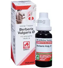 Berberis Vulgaris (20ml)