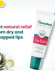 Himalaya Lip Balm